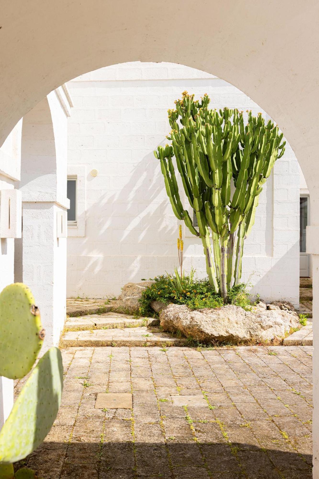 Masseria San Francesco Savelletri Luaran gambar